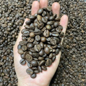 ROBUSTA