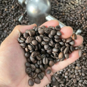ROBUSTA2