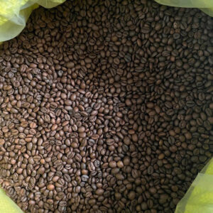 ROBUSTA3