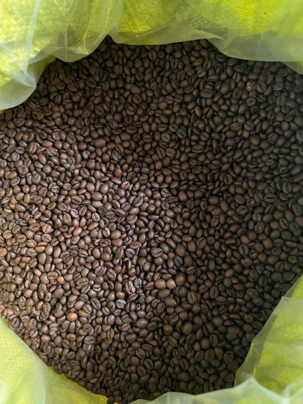 ROBUSTA3