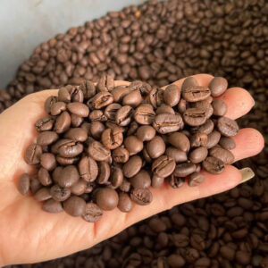 ROBUSTA3A